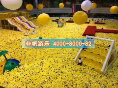 百萬(wàn)海洋球池設(shè)備廠家哪家好？嘉年華投資需要多少錢(qián)？